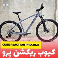 دوچرخه کیوب ریکشن پرو CUBE REACTION PRO