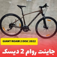 دوچرخه جاینت روام 2 دیسک Giant Roam 2 Disc 2022